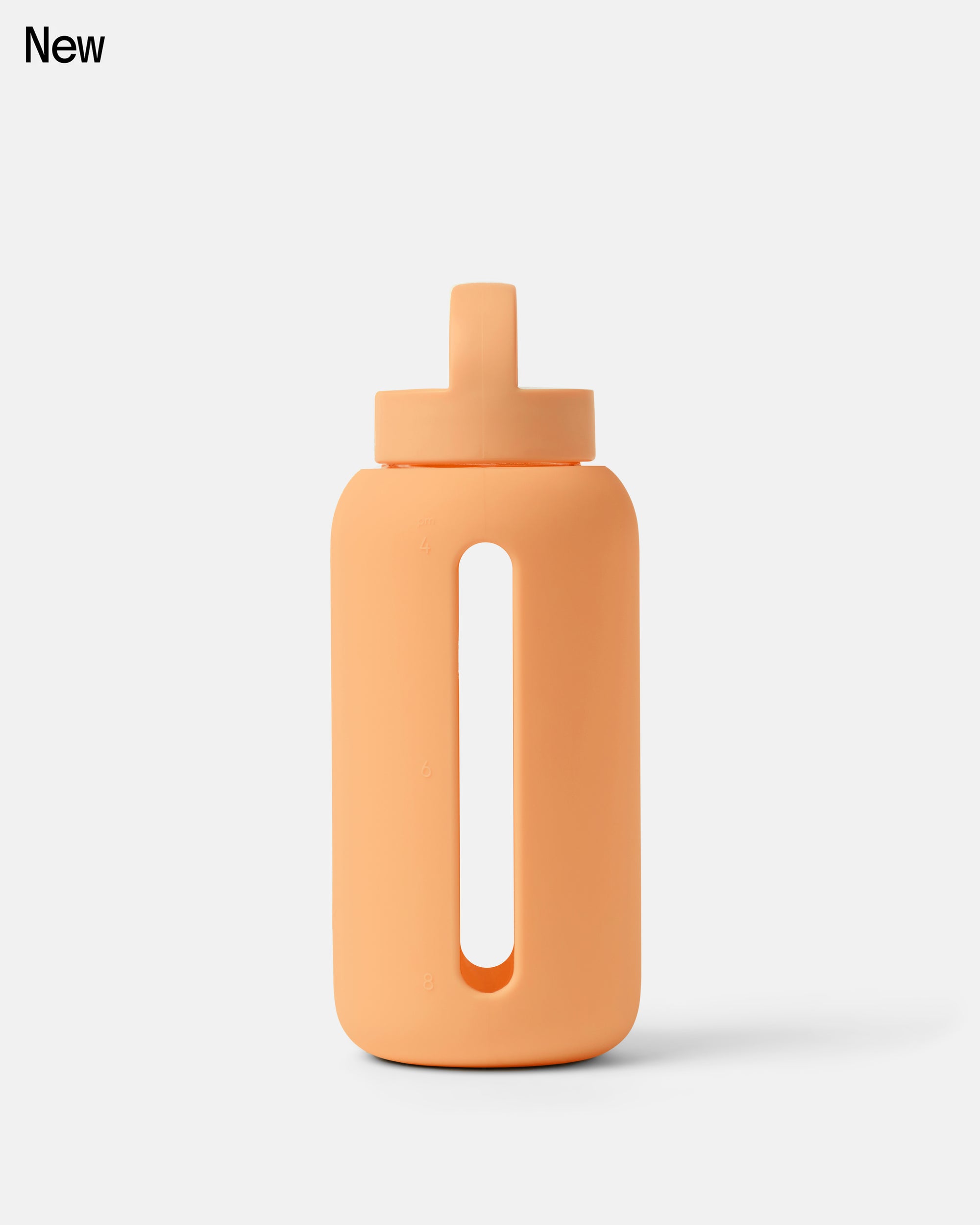 Day Bottle Classic | 27oz