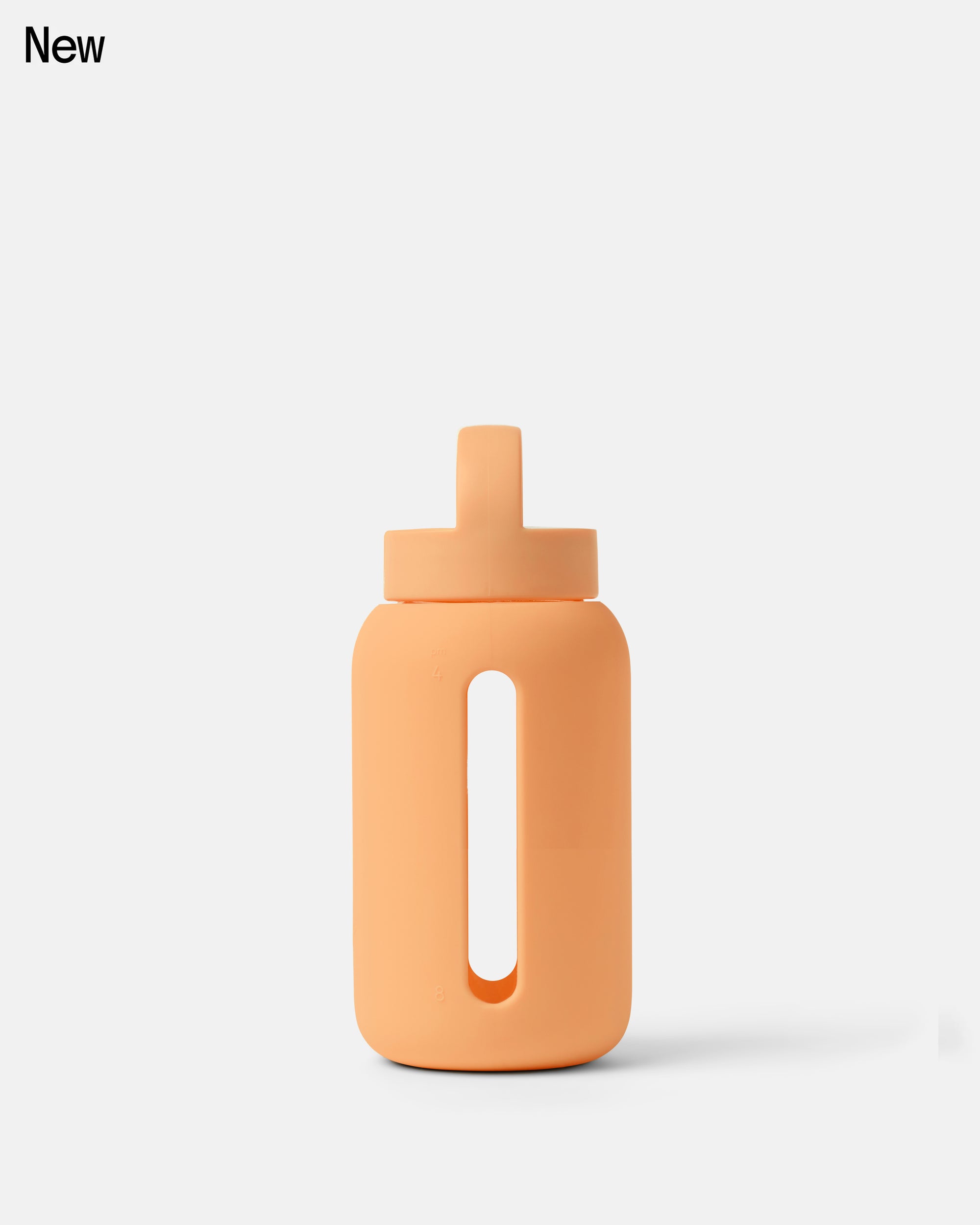 Mini Bottle Classic | 17oz