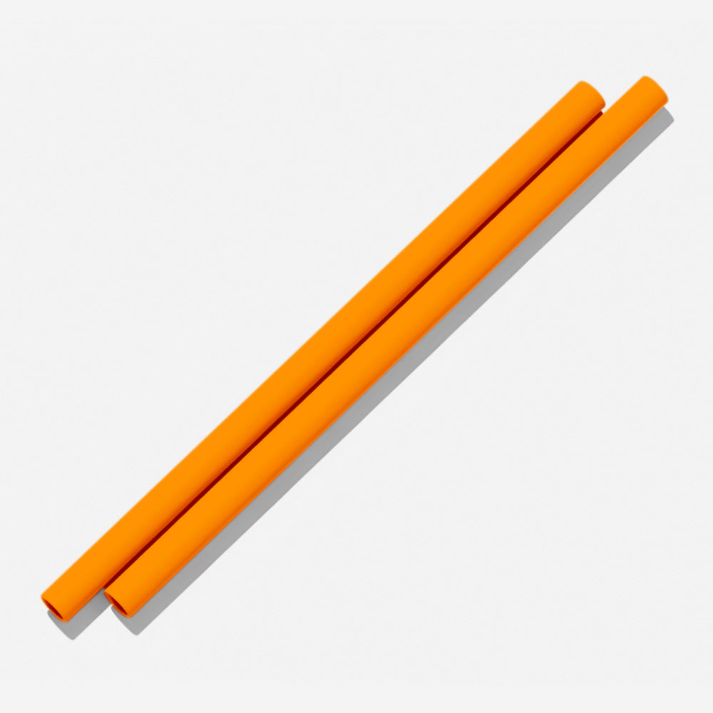 Silicone Straws (2 pack)